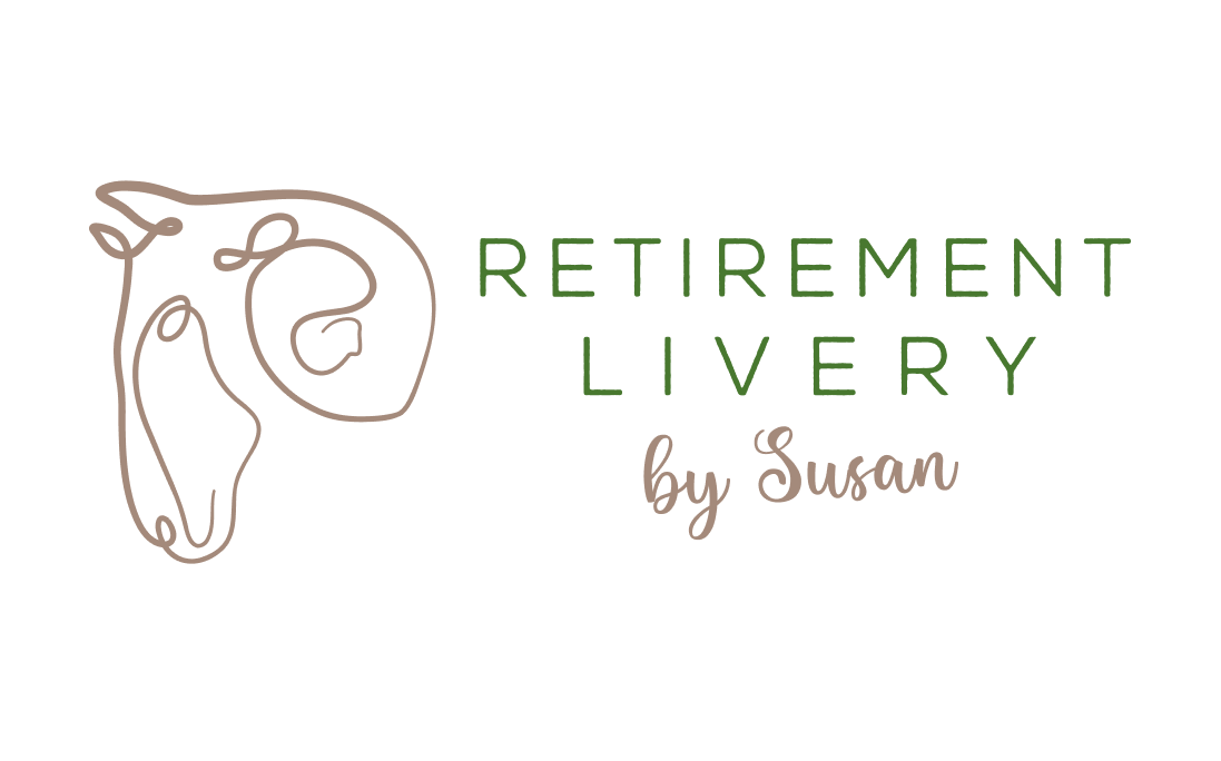 Equine Therapy by Susan